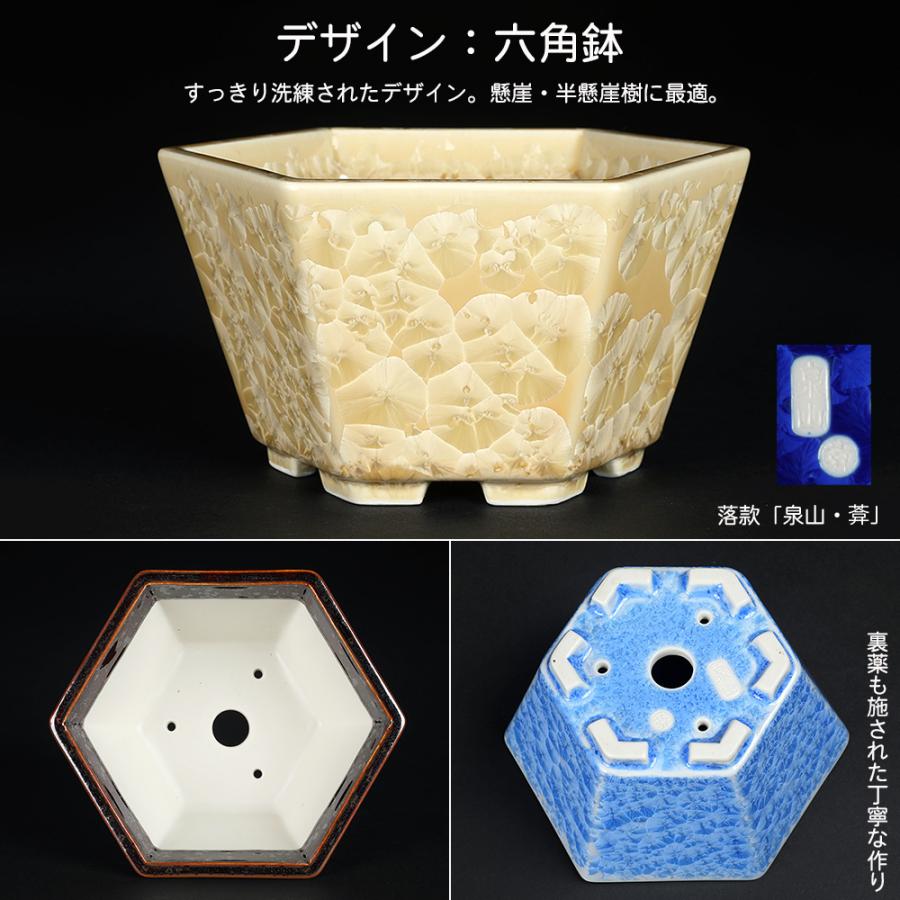 小品盆栽鉢　盆栽鉢　佑泉 月ノ輪涌泉作 高級盆栽鉢