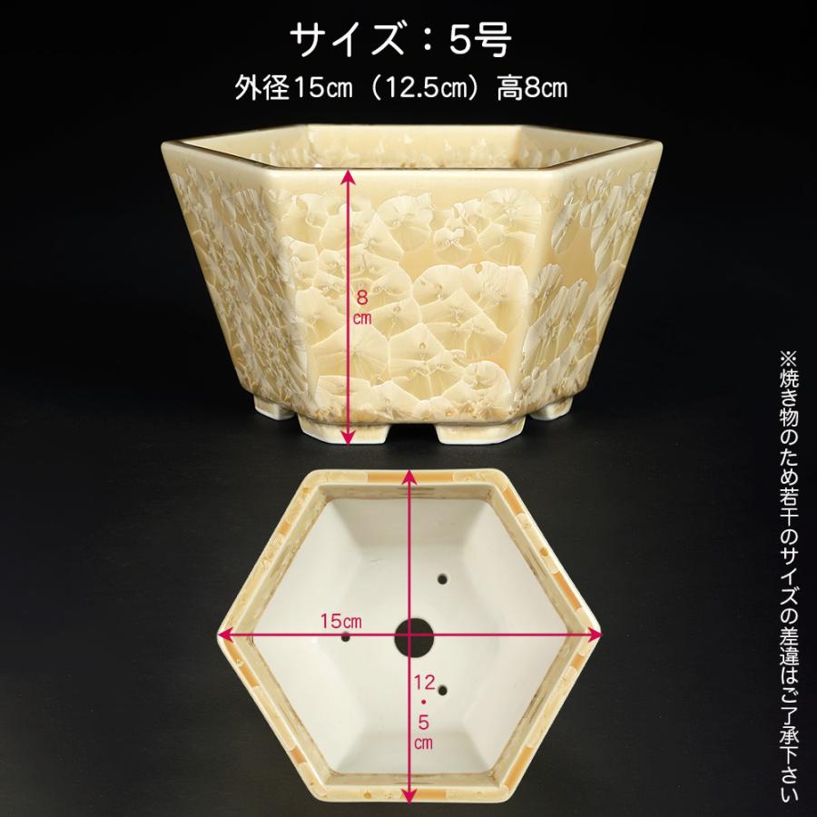 盆栽鉢 京焼 清水焼 平安泉山六角鉢5号 小品盆栽 ミニ盆栽 鉢 陶あん