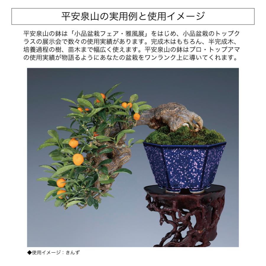 盆栽鉢 京焼 清水焼 平安泉山六角鉢5号 小品盆栽 ミニ盆栽 鉢 陶あん
