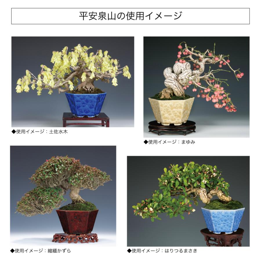 盆栽鉢 京焼 清水焼 平安泉山六角鉢5号 小品盆栽 ミニ盆栽 鉢 陶あん