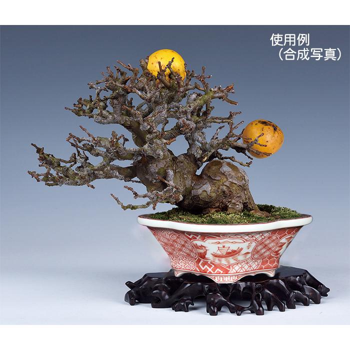 盆栽鉢 植木鉢 「平安泉山赤絵祥瑞図木瓜式鉢 小」 絵付 絵鉢 清水焼
