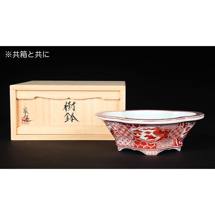 盆栽鉢 植木鉢 「平安泉山赤絵祥瑞図木瓜式鉢 小」 絵付 絵鉢 清水焼