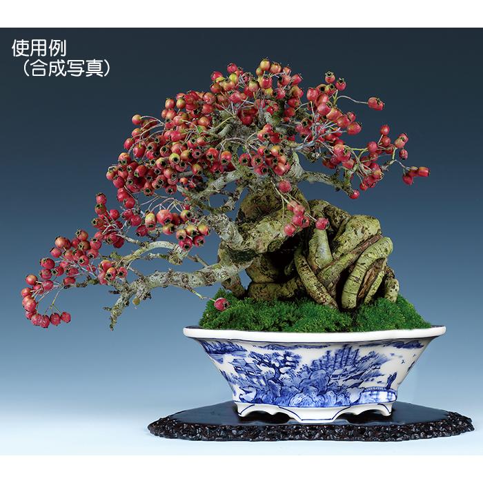 盆栽鉢 植木鉢 「平安泉山染付山水図木瓜式鉢 大」 絵付 絵鉢 清水焼