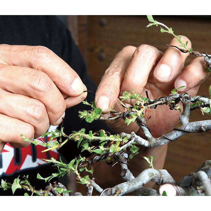 盆栽道具 「アルミ線 6.0mm 」 太さ6mm 6ミリ 1kg 盆栽の整姿 整姿