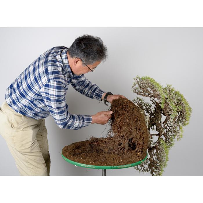 盆栽道具 盆栽作業台 「油圧式回転作業台Green-T 丸型ベーシック