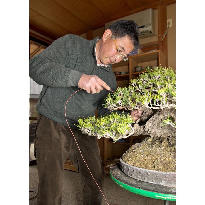 盆栽道具 盆栽作業台 「油圧式回転作業台Green-T 丸型ベーシック