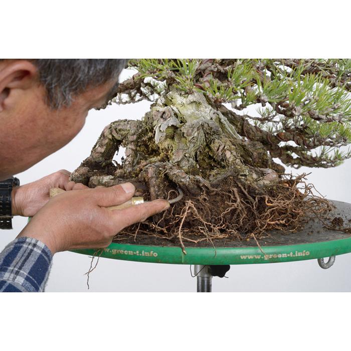 盆栽道具 盆栽作業台 「油圧式回転作業台Green-T 丸型プラス」 盆栽の