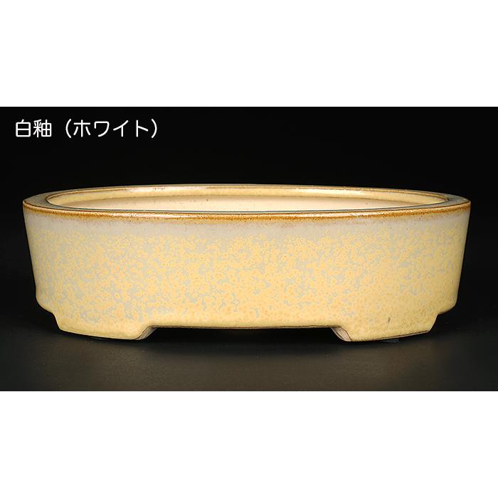 盆栽鉢 広東楕円鉢 石峰雨竹 植木鉢 陶器 落款あり 7号 20cm 雑木盆栽