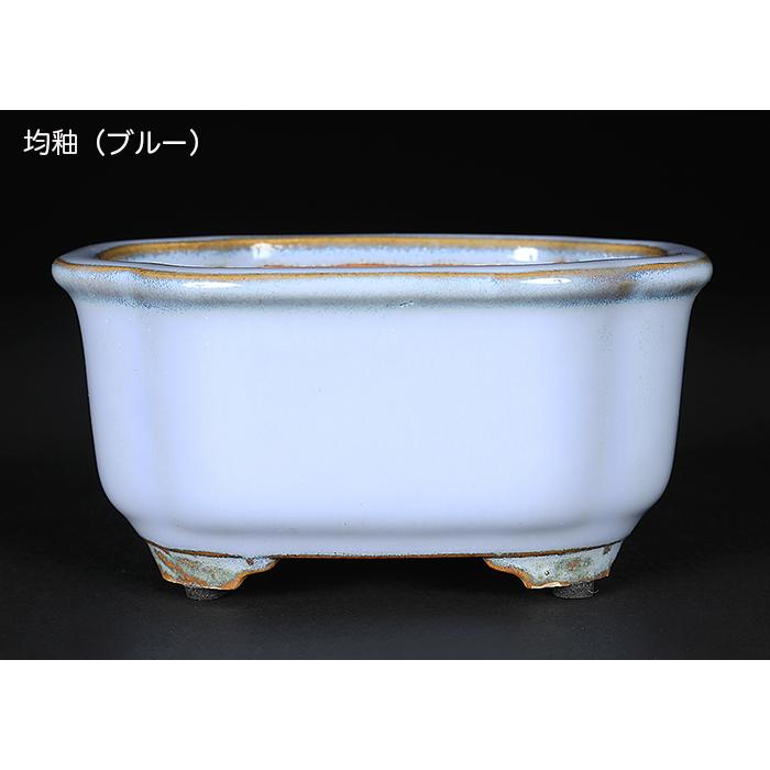 盆栽鉢 広東隅切長方鉢 石峰雨竹 植木鉢 陶器 落款あり 3.5号 10cm