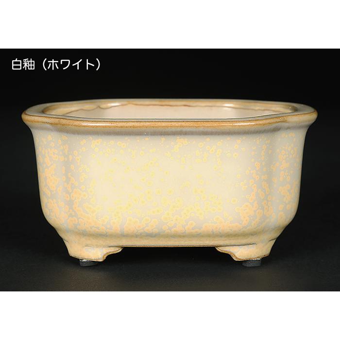 盆栽鉢 広東隅切長方鉢 石峰雨竹 植木鉢 陶器 落款あり 3.5号 10cm