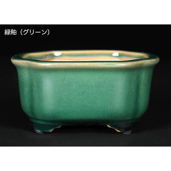 盆栽鉢 広東隅切長方鉢 石峰雨竹 植木鉢 陶器 落款あり 3.5号 10cm