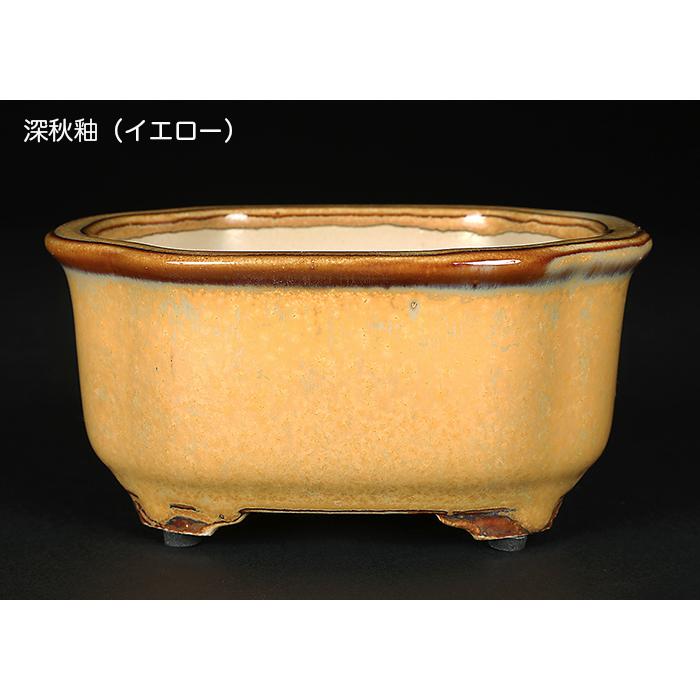 盆栽鉢 広東隅切長方鉢 石峰雨竹 植木鉢 陶器 落款あり 3.5号 10cm