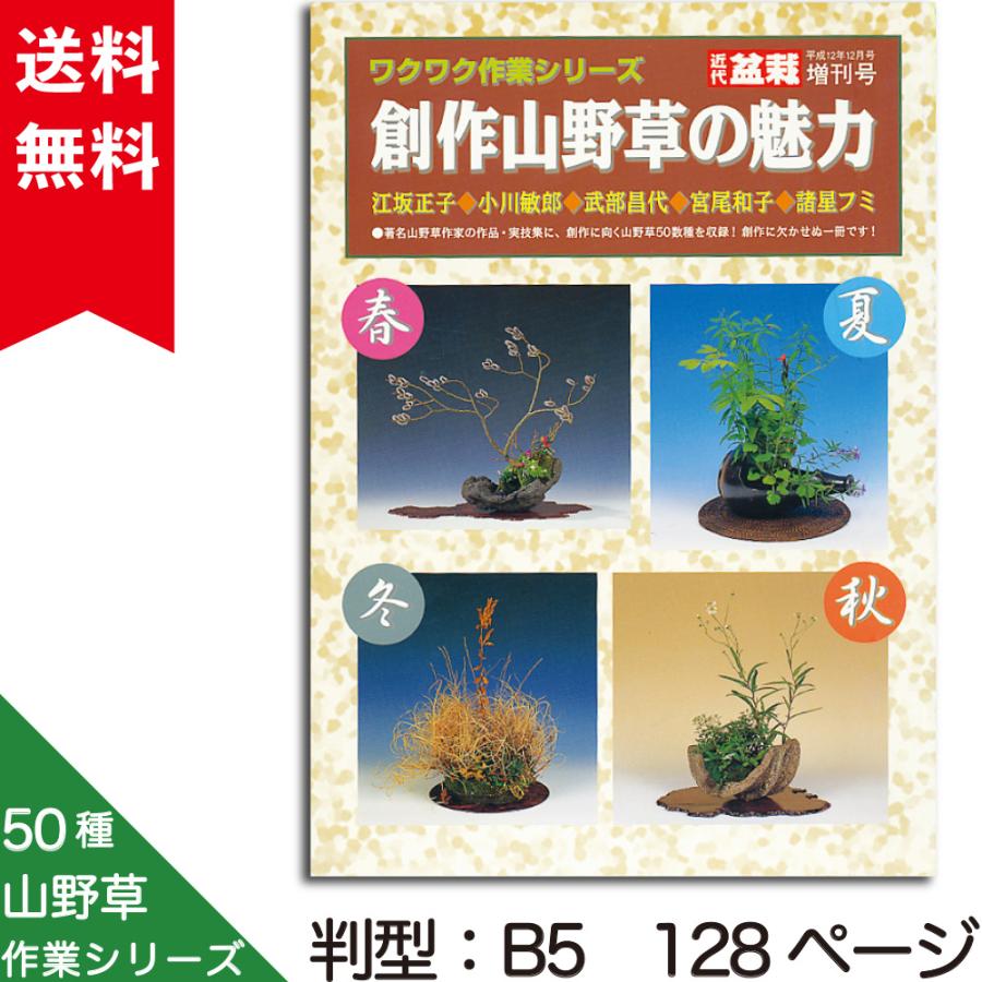 書籍 本 盆栽専門誌「創作山野草の魅力」 野草 高山植物 育て方 増やし