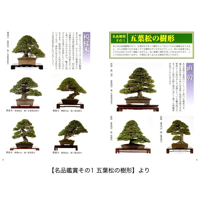 書籍 本 盆栽専門誌「五葉松の育て方」ゴヨウマツ 手入れ 管理 切り方