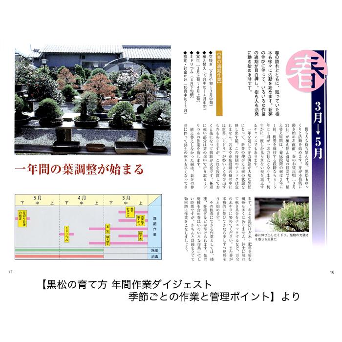 書籍 本 盆栽専門誌「黒松の育て方」クロマツ 手入れ 管理 切り方 曲げ