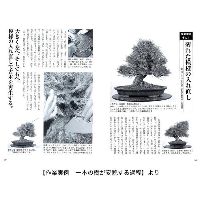 書籍 本 盆栽専門誌「黒松の育て方」クロマツ 手入れ 管理 切り方 曲げ