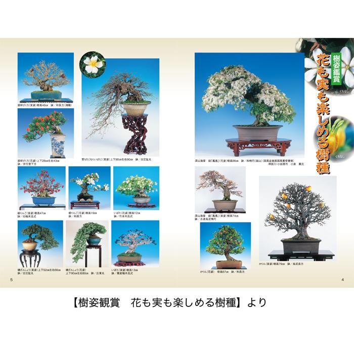 書籍 本 盆栽専門誌「花物・実物盆栽ブック 人気・注目樹種77種」雑木