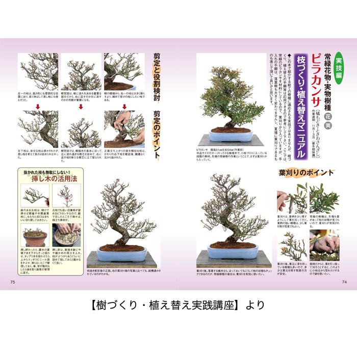 書籍 本 盆栽専門誌「花物・実物盆栽ブック 人気・注目樹種77種」雑木