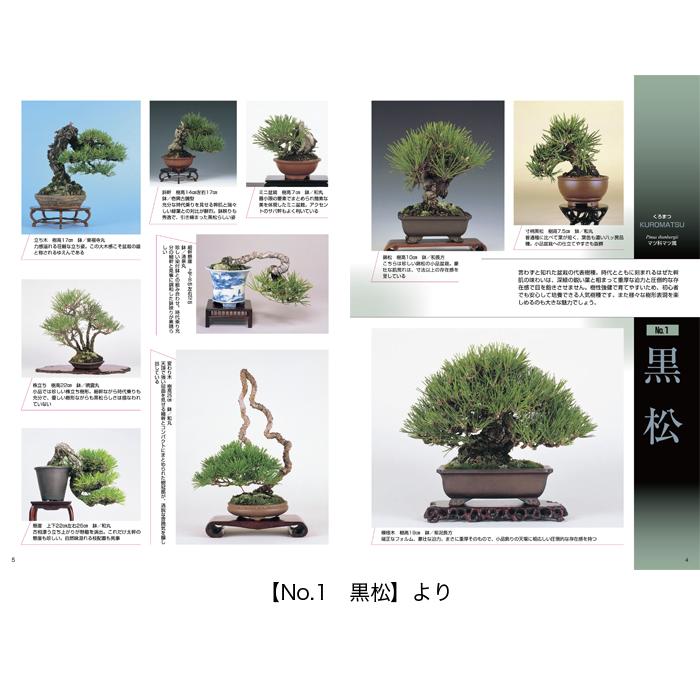 書籍 本 盆栽専門誌「小品盆栽36種徹底紹介（上巻）」ミニ盆栽 松柏
