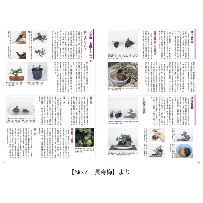 書籍 本 盆栽専門誌「小品盆栽36種徹底紹介（上巻）」ミニ盆栽 松柏
