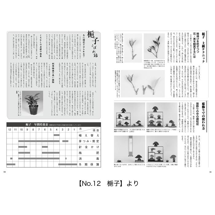 書籍 本 盆栽専門誌「小品盆栽36種徹底紹介（上巻）」ミニ盆栽 松柏
