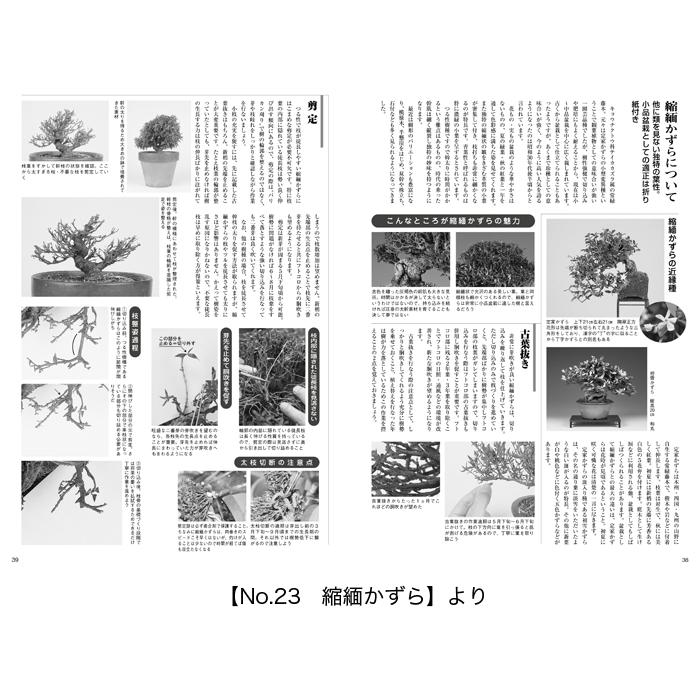 書籍 本 盆栽専門誌「小品盆栽36種徹底紹介（下巻）」ミニ盆栽 松柏