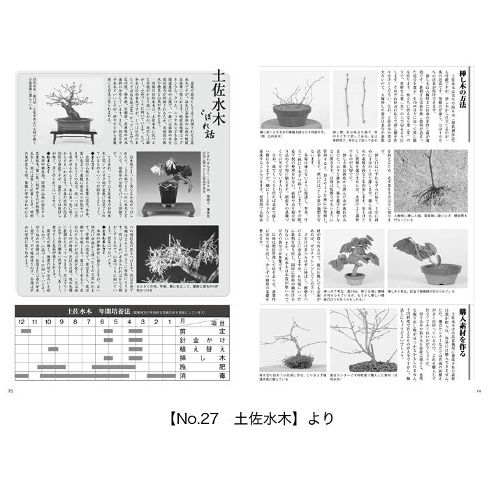 書籍 本 盆栽専門誌「小品盆栽36種徹底紹介（下巻）」ミニ盆栽 松柏