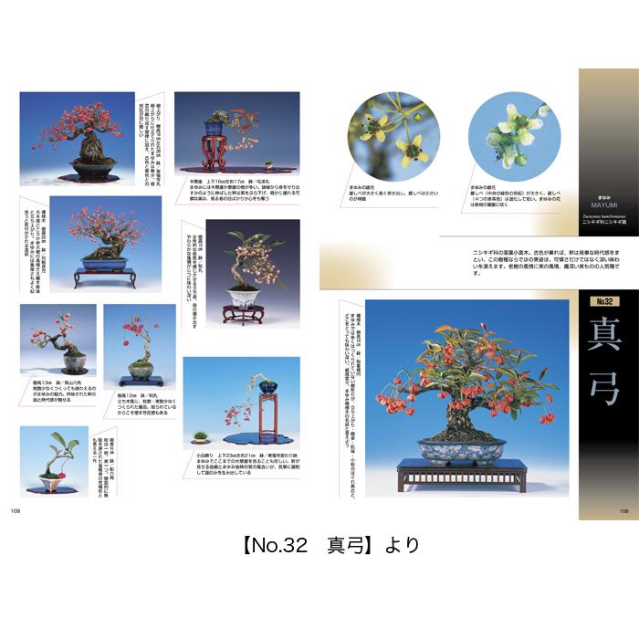 書籍 本 盆栽専門誌「小品盆栽36種徹底紹介（下巻）」ミニ盆栽 松柏