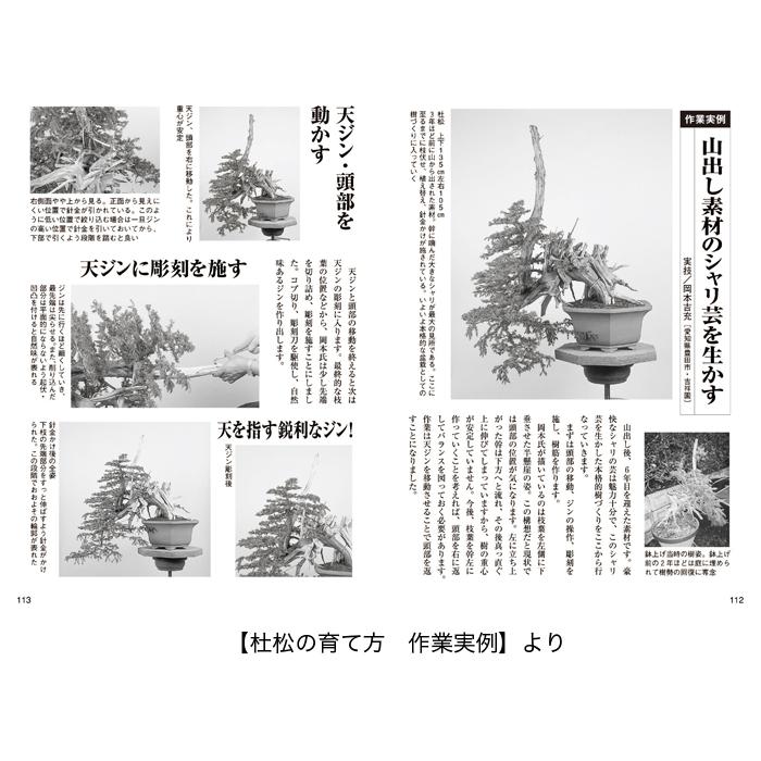 書籍 本 盆栽専門誌「真柏・杜松の育て方」シンパク トショ 手入れ 