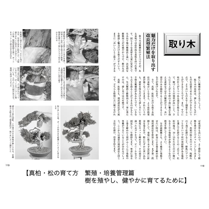 書籍 本 盆栽専門誌「真柏・杜松の育て方」シンパク トショ 手入れ