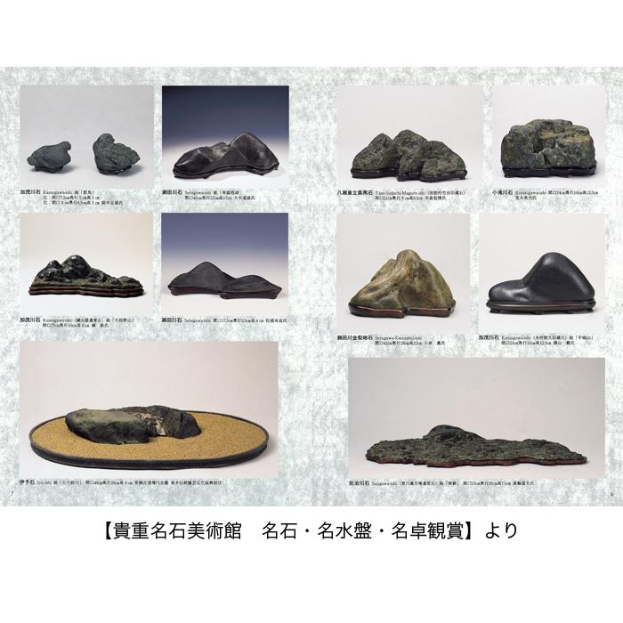 書籍 本 盆栽専門誌「水石入門マニュアル」盆栽 盆石 産地 特徴 形