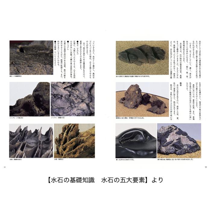 本　盆栽　奇石　水石　席飾 本 盆栽 奇石 水石 席飾