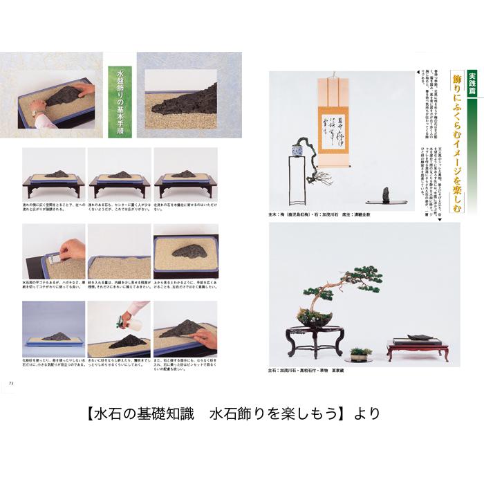 水石専門書 3冊セット 書籍 本 盆栽専門誌「水石入門マニュアル」盆栽 盆石 産地 特徴 形