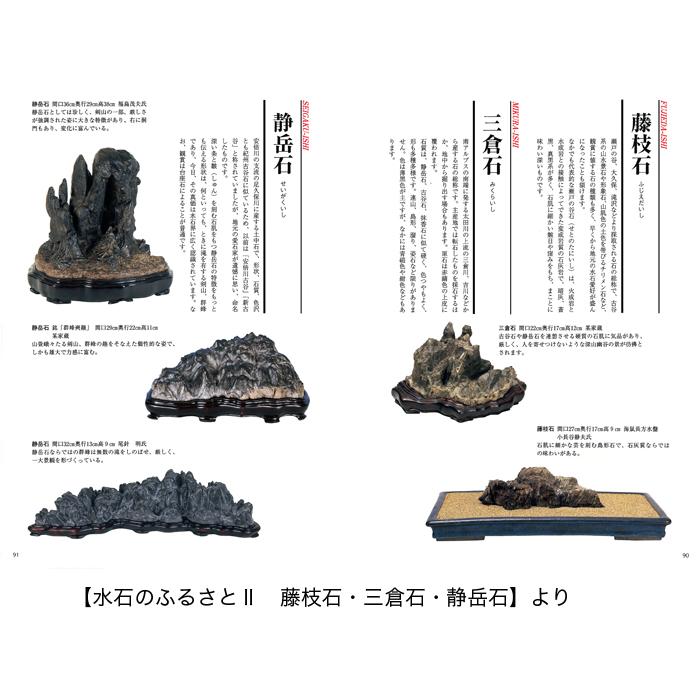 書籍 本 盆栽専門誌「水石入門マニュアル」盆栽 盆石 産地 特徴