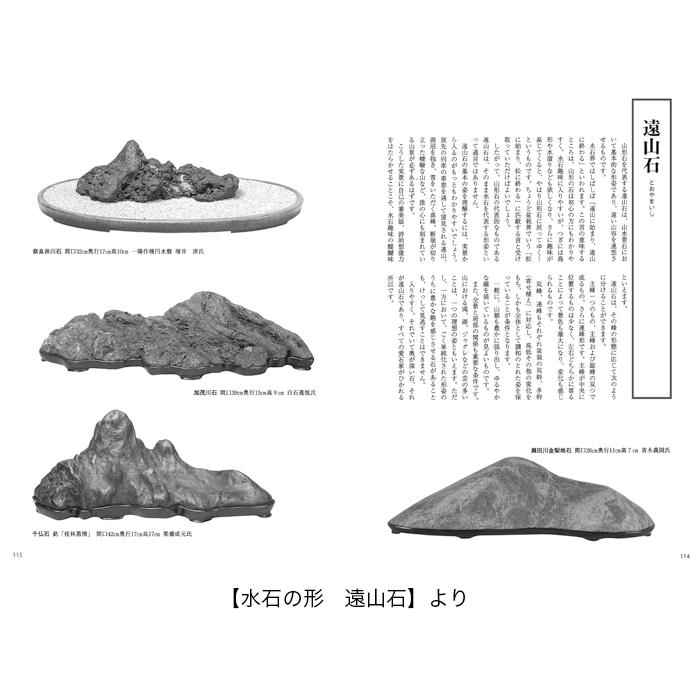 書籍 本 盆栽専門誌「水石入門マニュアル」盆栽 盆石 産地 特徴
