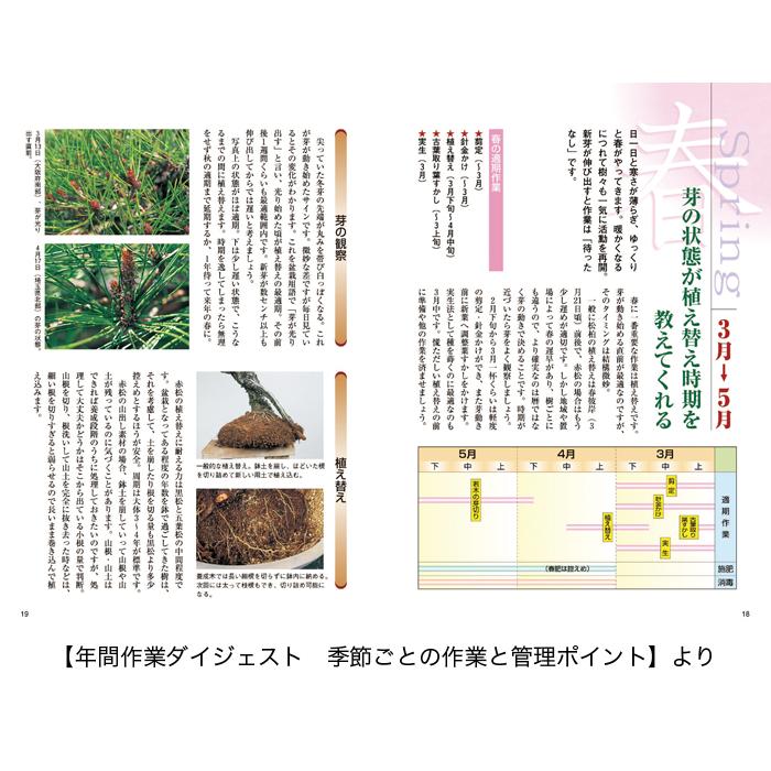 書籍 本 盆栽専門誌「赤松の育て方」アカマツ 手入れ 管理 切り方 曲げ