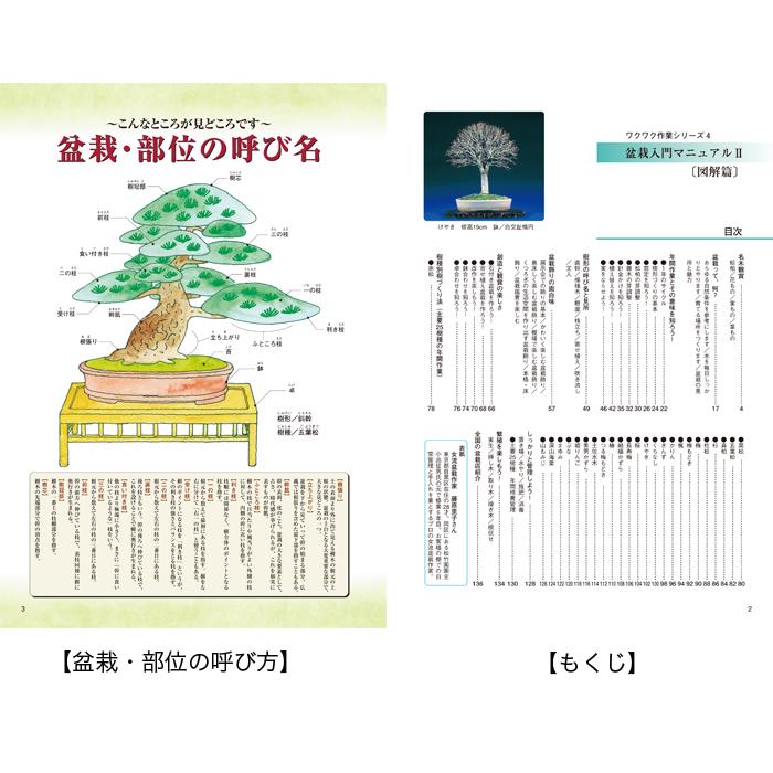 書籍 本 盆栽専門誌「盆栽入門マニュアル2 図解篇」年間作業 管理