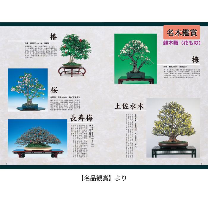 書籍 本 盆栽専門誌「盆栽入門マニュアル2 図解篇」年間作業 管理