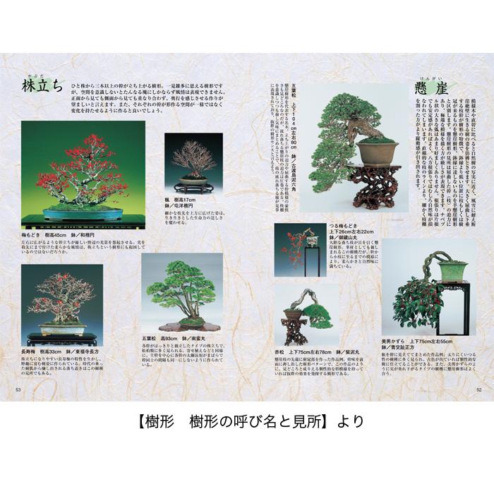 書籍 本 盆栽専門誌「盆栽入門マニュアル2 図解篇」年間作業 管理