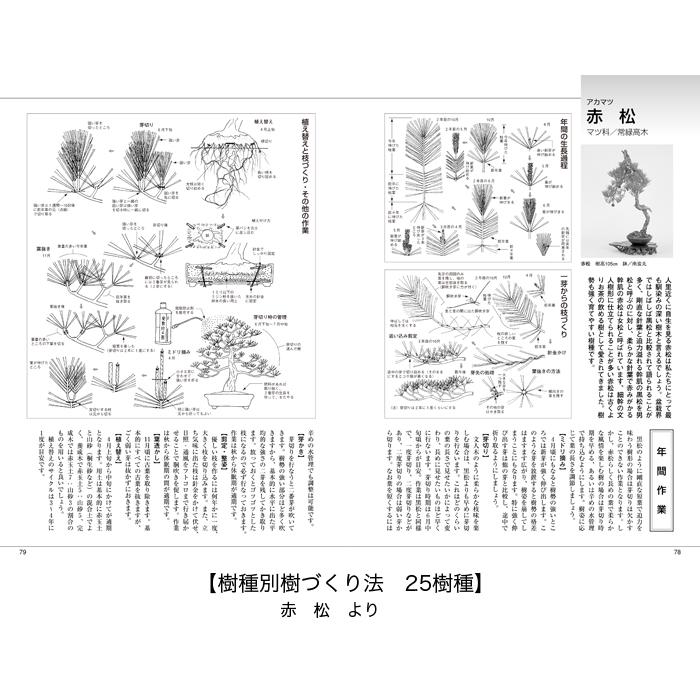 書籍 本 盆栽専門誌「盆栽入門マニュアル2 図解篇」年間作業 管理