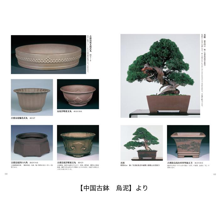 書籍 本 盆栽専門誌「盆器大図鑑 上巻」盆栽鉢 図鑑 写真集 名品