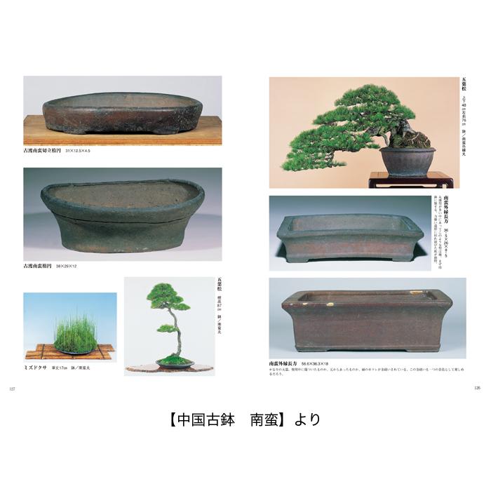 書籍 本 盆栽専門誌「盆器大図鑑 下巻」盆栽鉢 図鑑 写真集 名品集