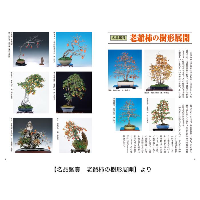 書籍 本 盆栽専門誌「老爺柿・きんずの育て方」ローヤ柿 キンズ 品種