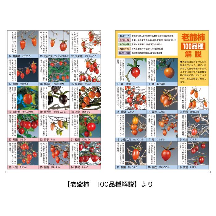 書籍 本 盆栽専門誌「老爺柿・きんずの育て方」ローヤ柿 キンズ 品種