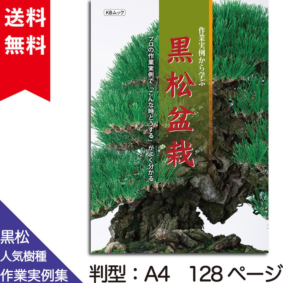 書籍 本 盆栽専門誌「作業実例から学ぶ 黒松盆栽」クロマツ 大物 小品