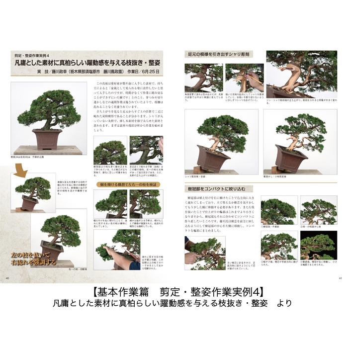 書籍 本 盆栽専門誌「真柏のすべて」 シンパク 剪定 整姿 植え替え