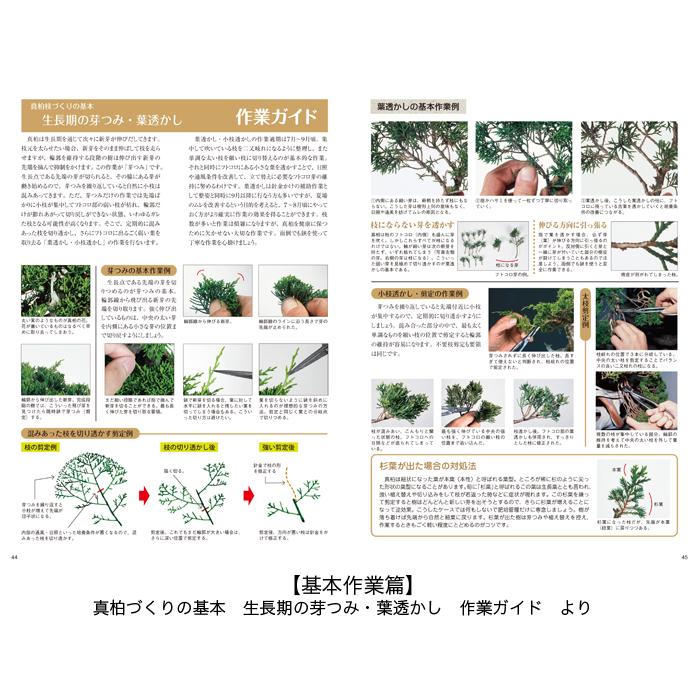 書籍 本 盆栽専門誌「真柏のすべて」 シンパク 剪定 整姿 植え替え