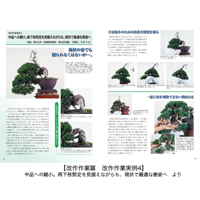 書籍 本 盆栽専門誌「真柏のすべて」 シンパク 剪定 整姿 植え替え