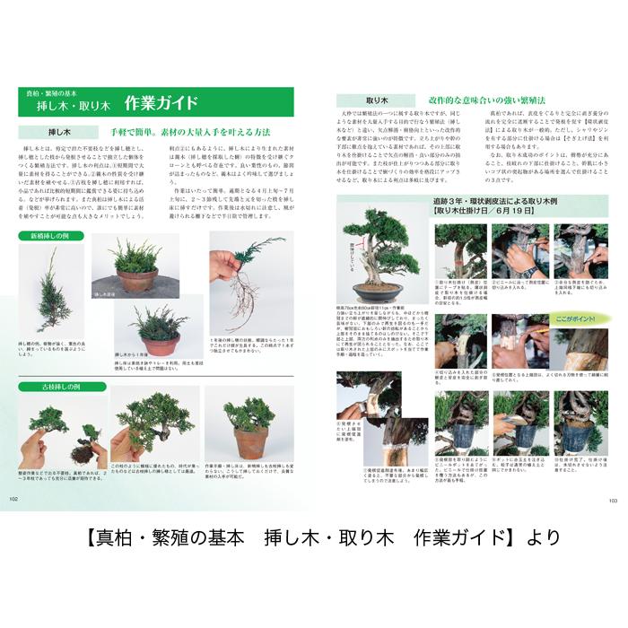 書籍 本 盆栽専門誌「真柏のすべて」 シンパク 剪定 整姿 植え替え