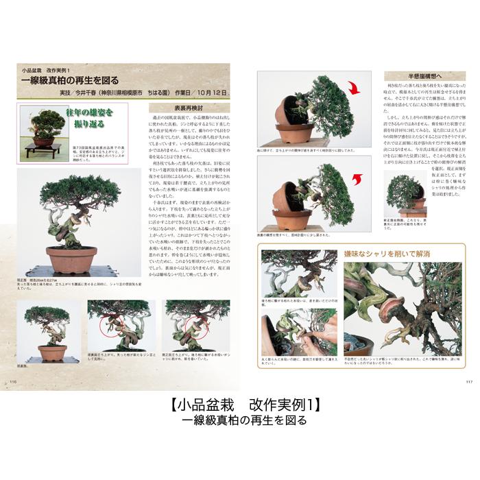 書籍 本 盆栽専門誌「真柏のすべて」 シンパク 剪定 整姿 植え替え